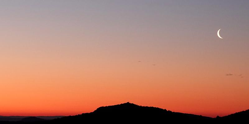 About observe-nature